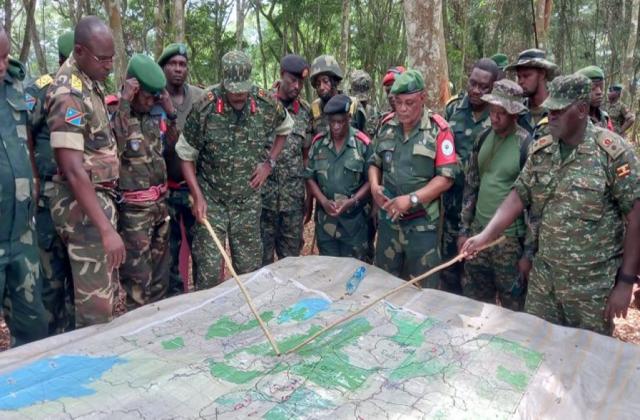 Ituri : Le chef de secteur des Bahema-Sud demande le déploiement de la force conjointe FARDC-UPDF