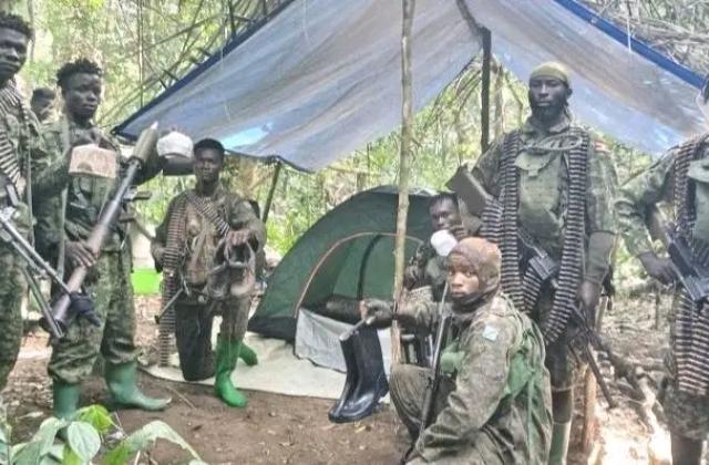 Nord-Kivu : « Les opérations conjointes FARDC-UPDF ne présentent plus la même intensité face aux exactions de l'ADF » (Rémy Mukweso)