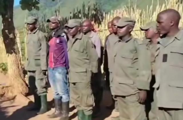 Sud-Kivu : 17 combattants Twirwaneho-M23 remis aux FARDC après leur  reddition à Minembwe