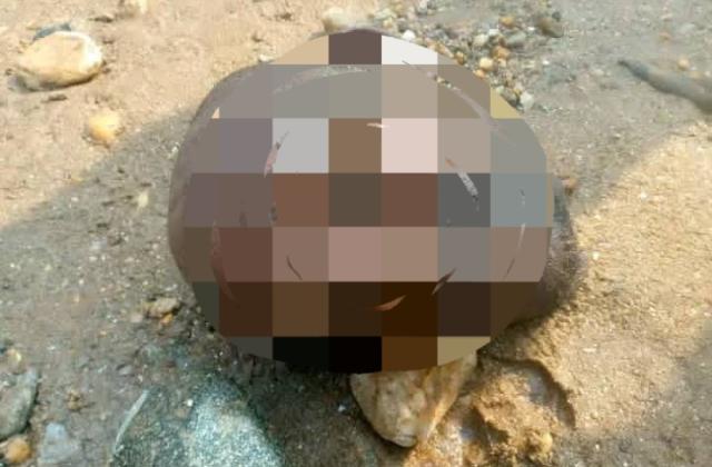 Uvira : la découverte d'une tête humaine au bord de la rivière Mulongwe ravive les inquiétudes sur l'insécurité