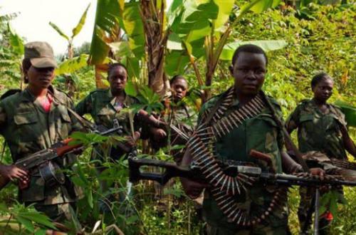 <p>Plus de dix villages du groupement Babila-Bakwanza à Mambasa sont occupés par des ADF</p>
