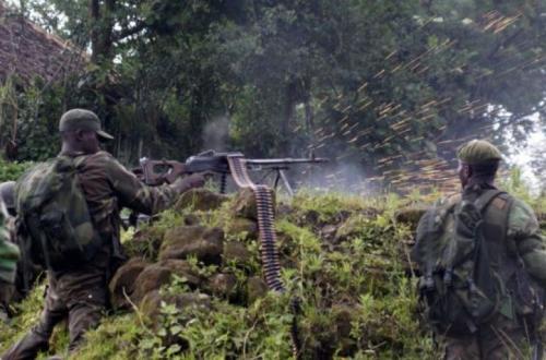 <p>Quatre combattants maï maï Kyandenga se sont rendus aux FARDC à Mambasa</p>
