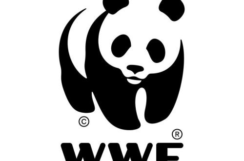 <p>OFFRE D’EMPLOI : WWF-DRC recrute un Responsable national de la Logistique</p>
