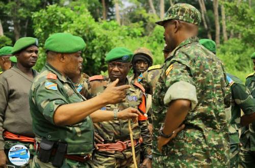 Beni : Suite à la pression de la coalition FARDC-UPDF, des ADF abandonnent leur  enfant à Karuruma