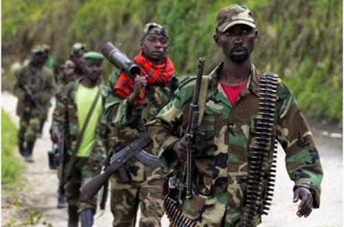 RDC : “Des milliers de personnes en danger dans le Nord-Kivu en raison des violences commises par les M23” (OCHA)