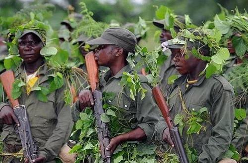 Nord-Kivu : Un éco-garde tué lors de l'attaque perpétrée par les Maï-Maï à Kabasha