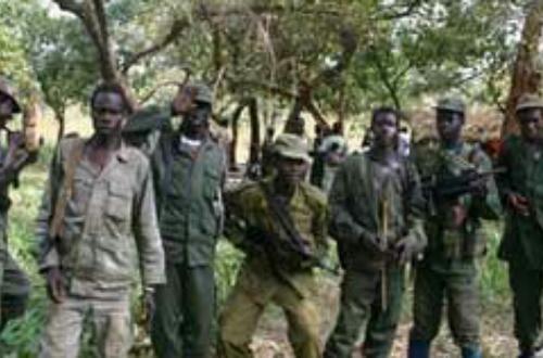 Beni : La NSCC du secteur Ruwenzori alerte sur le mouvement suspect des hommes armés assimilés aux ADF à Lisasa