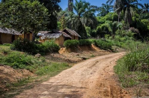 Beni : Une femme tuée par des inconnus dans le Ruwenzori