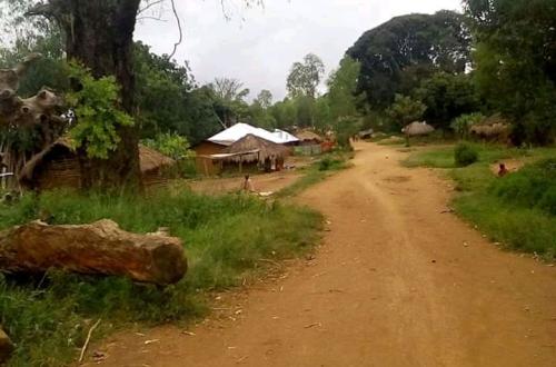 Irumu : Sept civils autochtones tués et un autre blessé au village Idohu