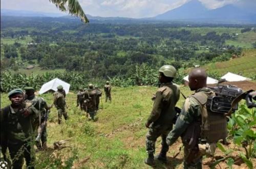 Violations du cessez-le-feu par les M23-RDF : Plusieurs positions des FARDC attaquées dans le Masisi