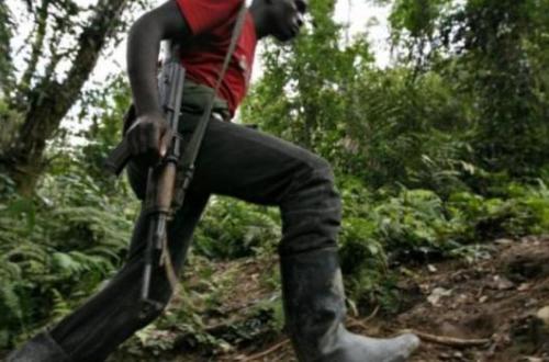 Irumu : Deux civils tués par des présumés ADF sur axe Eringeti-Komanda