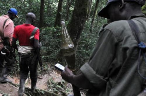 Nord-Kivu : Deux civils s'échappent des mains des ADF à Beni