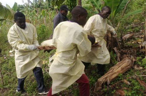 Beni : des ADF tuent deux civils à Kilya