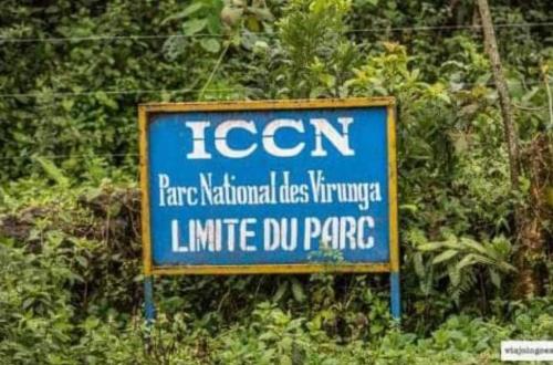 Lubero : Quatre morts et six blessés dans une embuscade tendue contre un convoi des eco gardes de l'ICCN