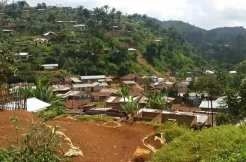 Ituri : 13 morts, bilan macabre des attaques simultanées des ADF et leurs supplétifs à walese-Vonkutu