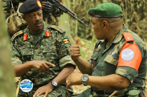 Ops Cjtes FARDC-UPDF : “11 civils libérés des mains de l'ADF” (Lt. Col. Mak Hazukay)