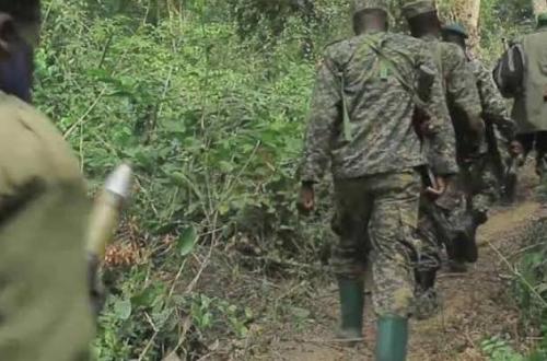 Beni : Les FARDC annoncent la neutralisation du Sheik Moussa Mushebe, un chef ADF