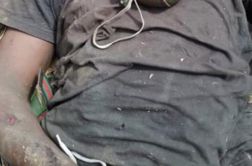Beni : Les FARDC-UPDF neutralisent un combattant Adf/MTM et saisissent une grenade lors d'une opération conjointe