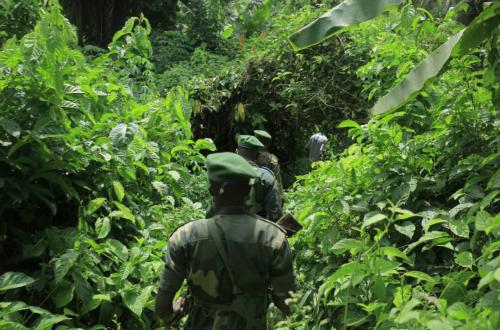 Beni : Trois combattants ADF neutralisés et trois otages civils libérés par l'armée