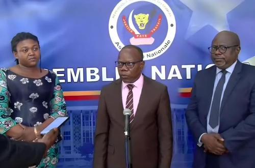 Projet de loi sur l'élevage en RDC : l’expertise du FPI sollicitée concernant la question du financement