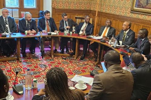 RDC/Grande-Bretagne : Vers l'accroissement du volume d'échanges commerciaux