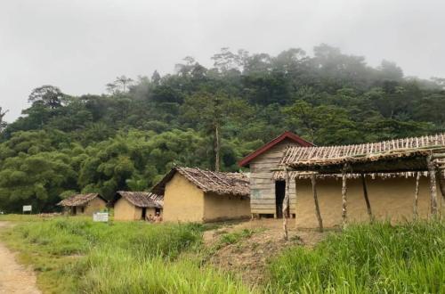 Ituri : “Cinq groupes armés opèrent à Walese-Vonkutu” (MONUSCO)