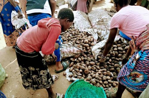 Bunia : des femmes vendeuses de pommes de terre dans un désespoir