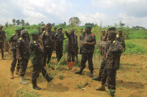 Beni : Quatre combattants ADF dont deux étrangers neutralisés par l'armée près de Eringeti