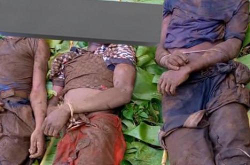 Guerre du M23 : le collectif de victimes de cette guerre dénonce la barbarie humaine imputée à cette rébellion