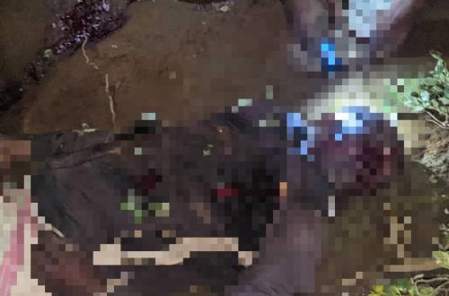 Beni : Cinq civils tués et d'autres portés disparus dans une attaque ADF