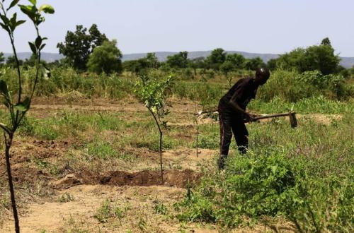Mambasa : deux agriculteurs blessés par des premiers citoyens moyennant des armes blanches