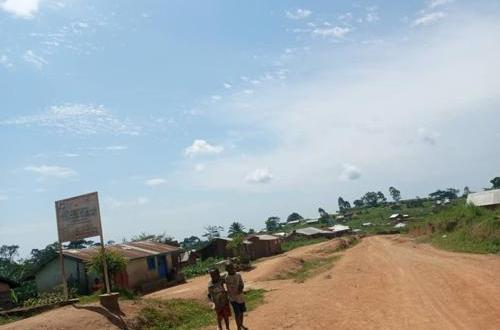 Ituri : un acteur politique estime à 80 % le retour de la paix à Irumu