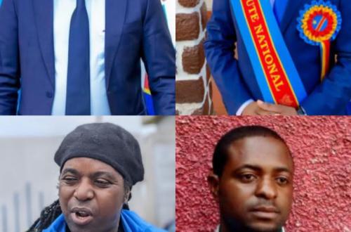 Députés Nationaux élus : A Goma voici les quatre élus