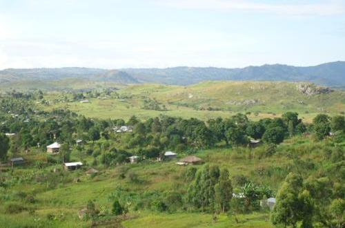 Irumu : « Le bilan sécuritaire de l'année 2023 jugé négatif à Walese-Vonkutu » (Société civile)