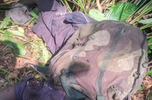 Ituri : Trois ADF neutralisés par l'armée à Tolitoli