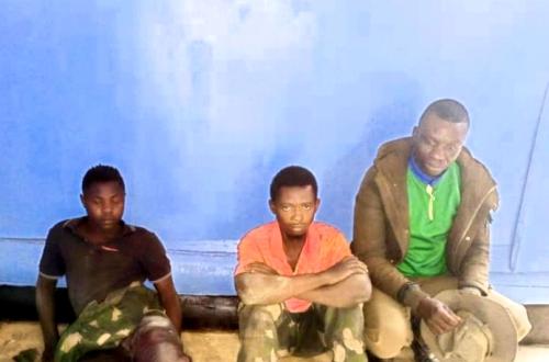 Beni : trois combattants Maï-Maï capturés par l'armée à Bashu
