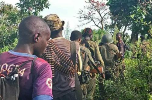 Beni : un combattant ADF neutralisé et un autre capturé à Mavivi-Ngite
