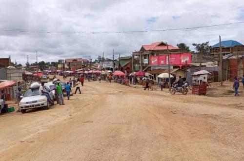 Ituri : le prix d'un régime de banane plantain passe de 15.000  à 40.000 FC à Komanda