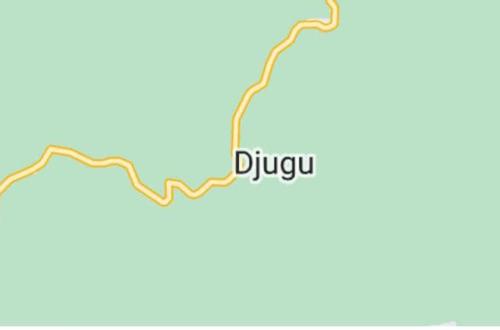 Ituri : la CODECO et le Zaïre s’entretuent à Djugu