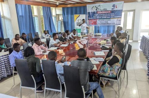 RDC : Risque d'endettement plutôt que de recettes dans le secteur des hydrocarbures, alerte le CNPAV