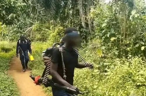 Beni : une dizaine de civils tués par des combattants ADF dans la localité des Babila-Bakaiku