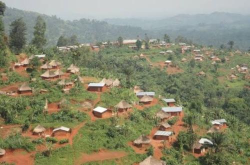 Nord-Kivu : le chef du secteur des Bapere alerte sur la présence des ADF à Lubero