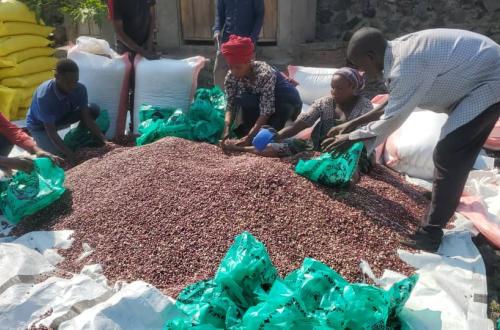 PREMIDIS SARL de SHIVA PRASAD assiste pour la 14e fois les déplacés