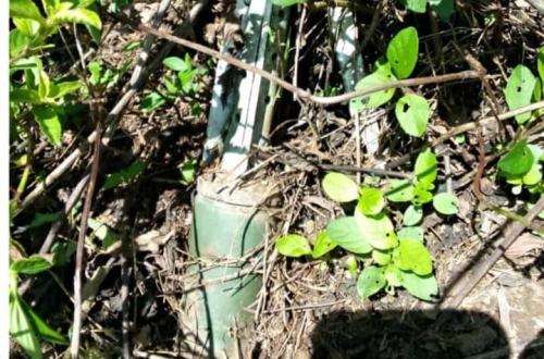 53 jours après, deux engins explosifs ne sont pas toujours déminés à Djugu