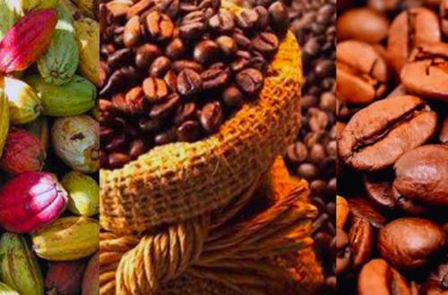 Exclusion des cacao et café Congolais sur le marché européen : Julien Paluku rassure du report de l'application de la réglementation « Zéro déforestation » de l'UE