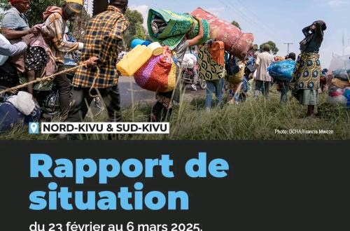 Près de 11 000 personnes déplacées sont arrivées dans les villages de Kalingi et Kitavi dans la zone de santé de Minembwe (OCHA)