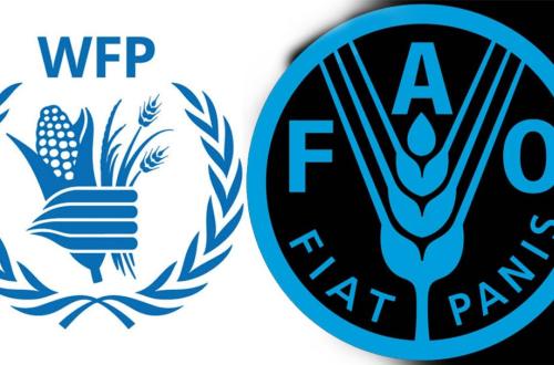 Le conflit et la hausse des prix des denrées alimentaires plongent le congolais dans l'une des pires crises alimentaires au monde (OCHA)