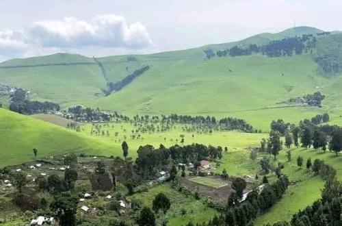 Des déplacements massifs des populations signalés à Masisi