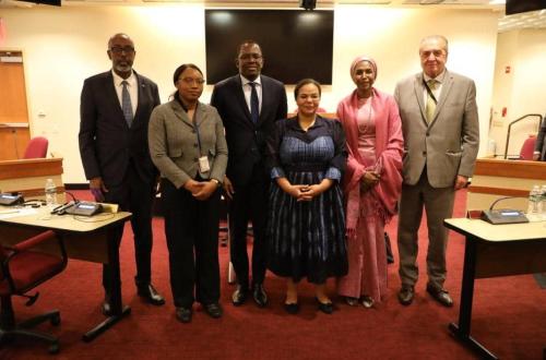 Thérèse Kayikwamba Wagner plaide la cause de l'Est devant le Conseil de sécurité de l’ONU