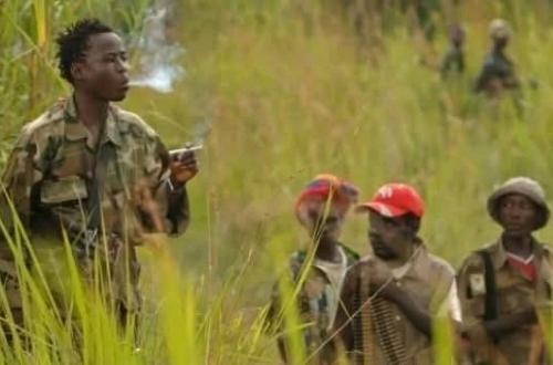 Huit civils tués en quatre jours dans des attaques ADF à Lubero